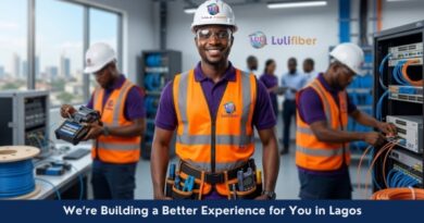 Lulifber technicians in action